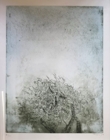 Gravure de Zoran Music